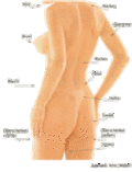 Alle Regionen die man Absaugen kann, Liposuction, Fettabsaugen, Fettabsaugung Alle Regionen die man Absaugen kann, Liposuction, Fettabsaugen, Fettabsaugung